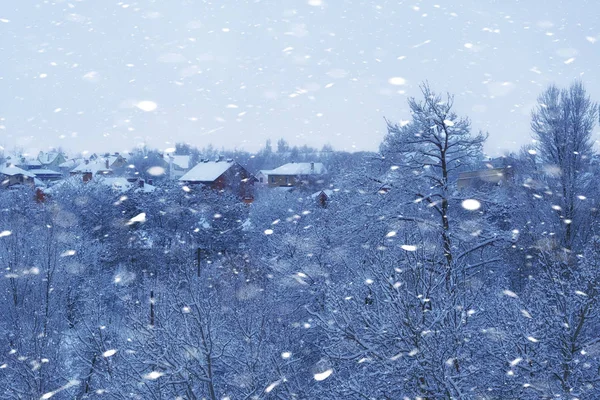 Noel karlı havası. Kışın kar fırtınası. Kar taneleri havada uçar.