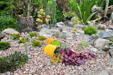 Bahçedeki kayalıklar, farklı çiçek ve bitkilerle dolu. Bahçenin peyzaj tasarımı kaktüs, tencere, bitki ve taşlarla.