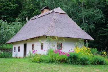 Sazlı çatısı ve beyazlatılmış duvarları olan eski bir kır evi. Ukrayna 'nın tarihi köyü, gelenek ve kültürleri koruyor..