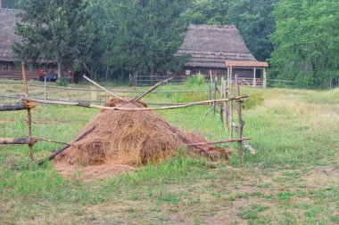 Yazın köyde saman yığını. Yeşil orman geçmişi olan kırsal bir arazi. Geleneksel yollarla kuru saman topluyorum..