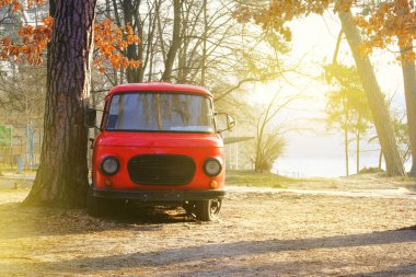 Sonbahar ormanında klasik kırmızı otobüs durakları. Sonbaharda güneşli bir gün. Ormanda sıcak hava.