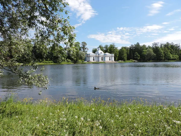 Bella Vista Estiva Del Lago Nel Parco Selo Tsarskoye — Foto Stock