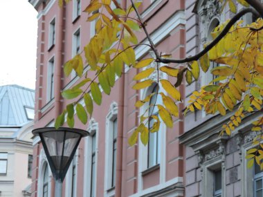 Saint-Petersburg sonbahar görünümü