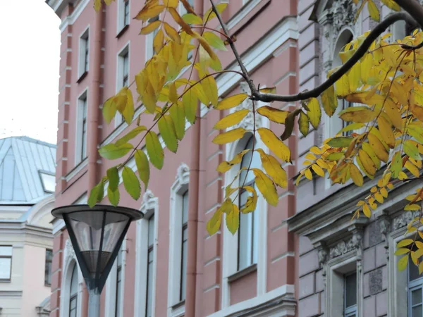 Herbst Ansicht Von Saint Petersburg — Stockfoto