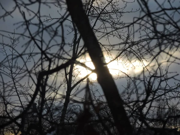 冬日的天空与早晨的太阳 — 图库照片