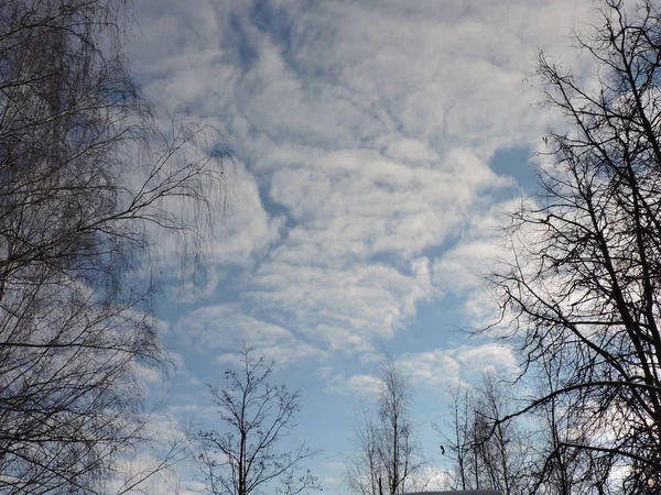 Winter Blauwe Hemel Met Witte Wolken — Stockfoto