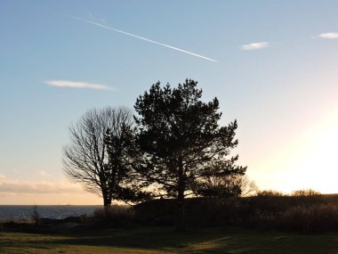 Ağaçlı güzel bir manzara.