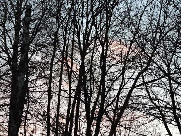 Céu Bonito Parque — Fotografia de Stock