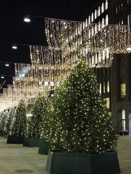 Helsinki Noel Ağaçları — Stok fotoğraf