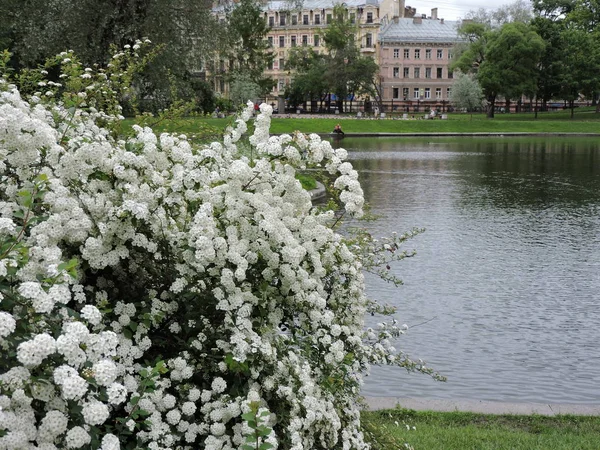 Jardim Yusupov Primavera São Petersburgo — Fotografia de Stock