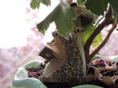 Kirpi oyuncak bitki altında