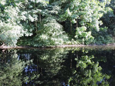 Yaz park lake ile görünümünü