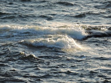 Baltık Denizi peyzaj