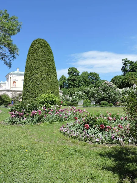 Park Wiosny Sankt Petersburgu — Zdjęcie stockowe