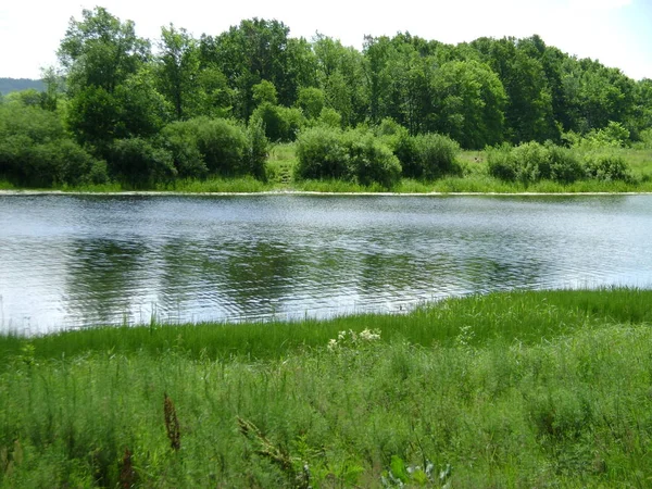 Vista Del Lago Bosque — Foto de Stock