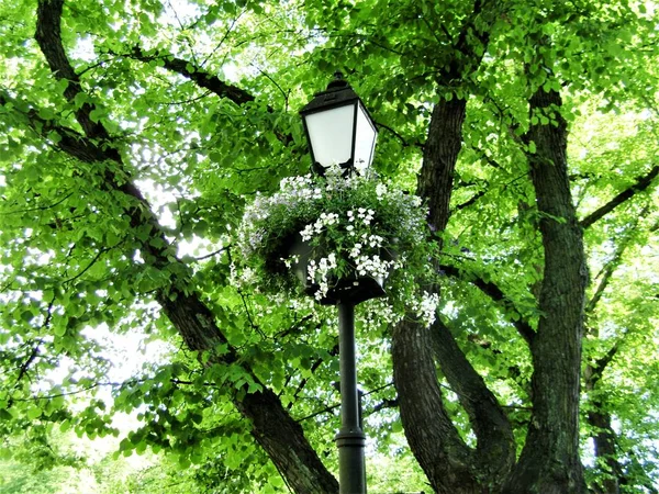 Summer Street Turku Finland — Stockfoto