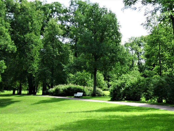 Sentier Dans Parc Été — Photo