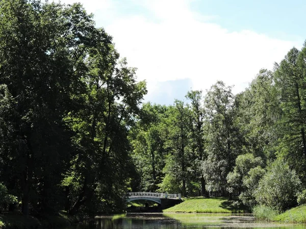 Ponte Nel Parco Estivo — Foto Stock