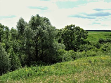 Dişi, çayır ve tepelerle aydınlık yaz manzarası