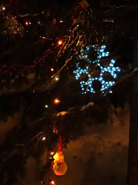 圣诞树 装饰上有虹膜 — 图库照片