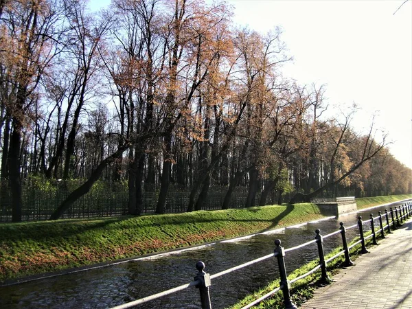 Veduta Degli Alberi Nel Parco Nel Canale Autunno San Pietroburgo — Foto Stock