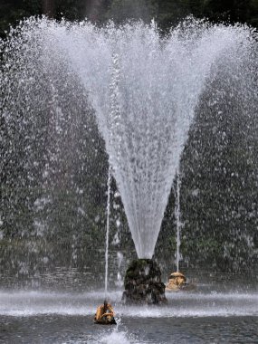 Rusya 'nın Peterhof şehrinde büyük bir şelale var.