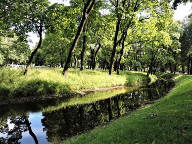 Göletli ve ağaçlı güzel bir park, Saint-Petersburg, Rusya