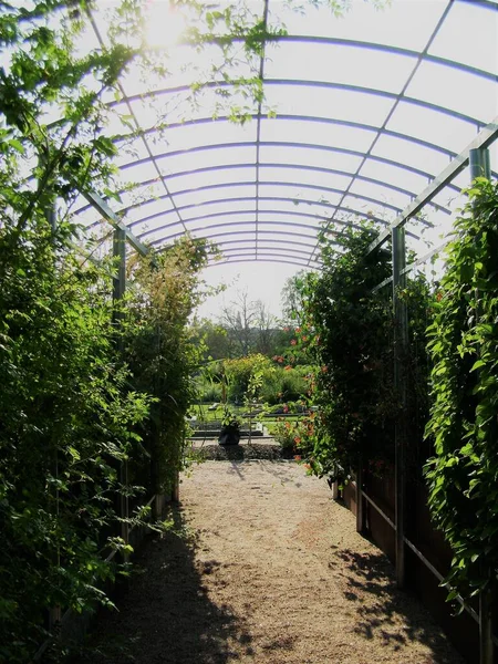 Botanik bahçesindeki sera, Helsinki