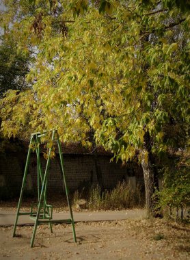 Sonbahar parkında salıncaklar ve ağaçlar