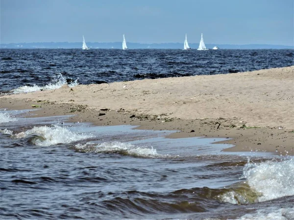 Utsikt Över Östersjön Kusten Och Segelbåtar Sankt Petersburg — Stockfoto