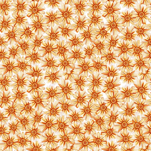 Seamless mönster med gula orange prästkragar. — Stockfoto