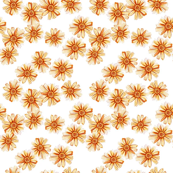 Seamless pattern with yellow orange daisies.