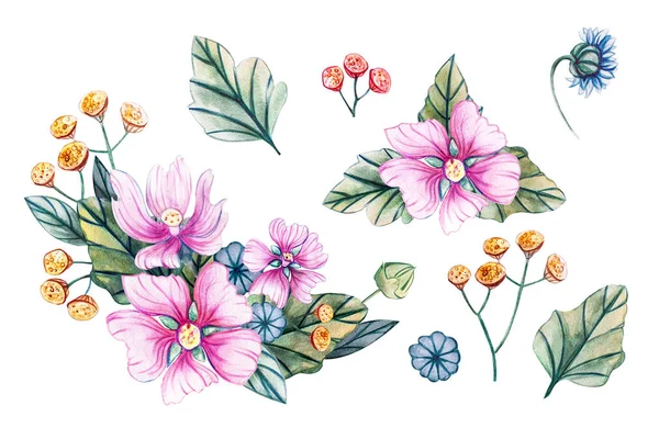 Ilustração aquarela com buquês de flores silvestres . — Fotografia de Stock