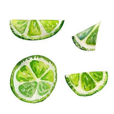 Kireç dilimleri ile suluboya seti.