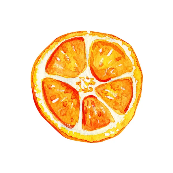 Akvarel izolovaný oranžový řez. — Stock fotografie