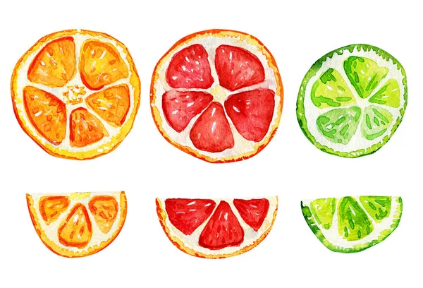 Geïsoleerde schijfjes sinaasappel, grapefruit en limoen. — Stockfoto
