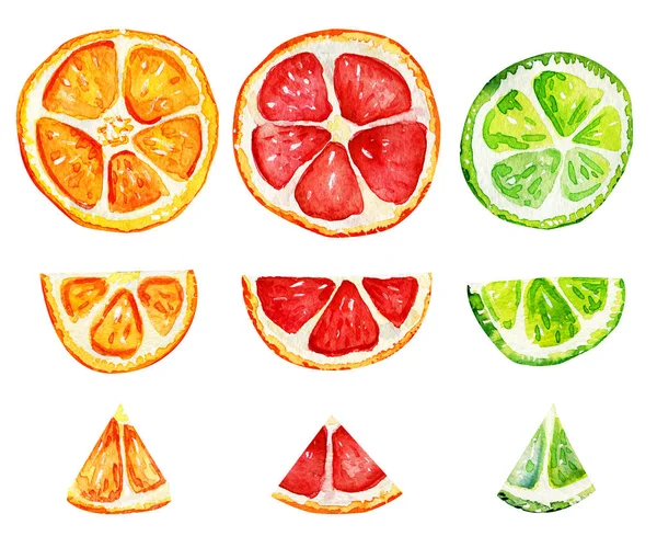 Ізольовані скибочки апельсина, грейпфрута і лайма . — стокове фото