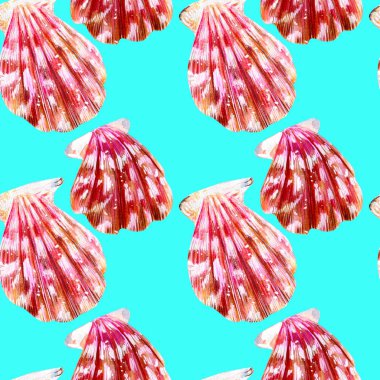 İzole deniz kabukları tarak Dikişsiz desen.