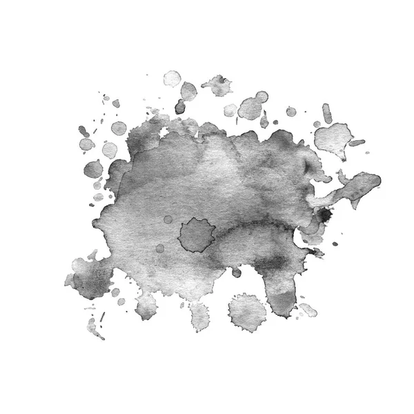 Barvarel šedá s splakami. — Stock fotografie
