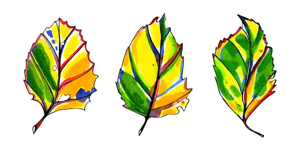 Три акварельні стилізовані графічні осінні листя . — стокове фото