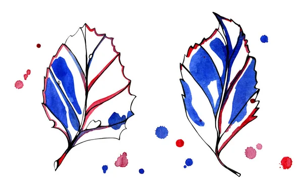 Два акварельних стилізованих графічних осінніх листя . — стокове фото