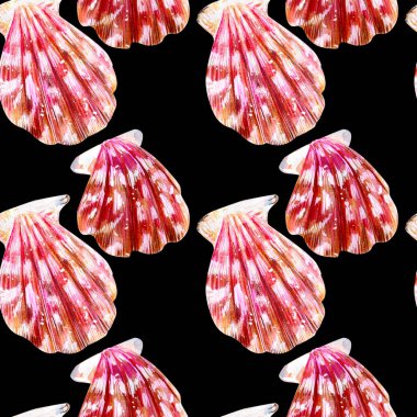 İzole deniz kabukları tarak Dikişsiz desen.