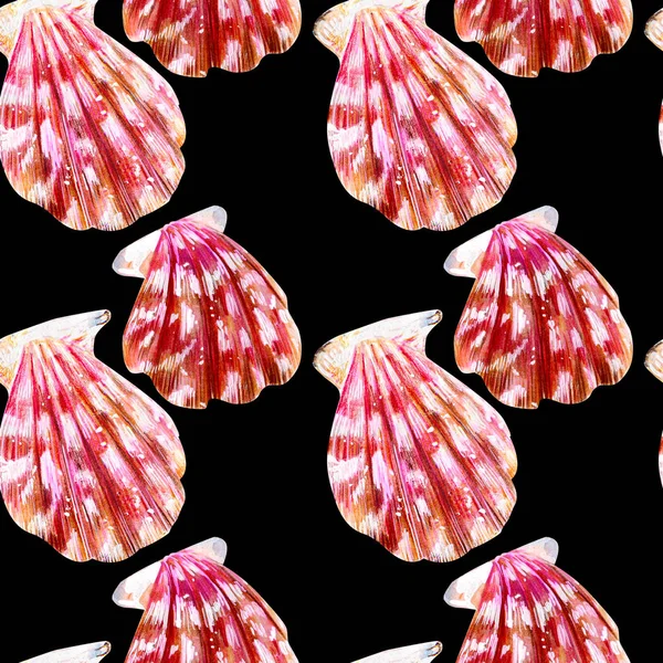 İzole deniz kabukları tarak Dikişsiz desen.