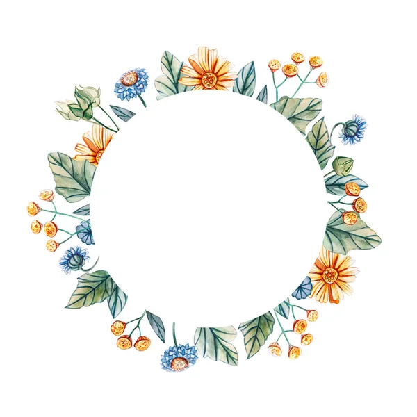 Floral round frame of watercolor wildflowers. — Stock Photo, Image