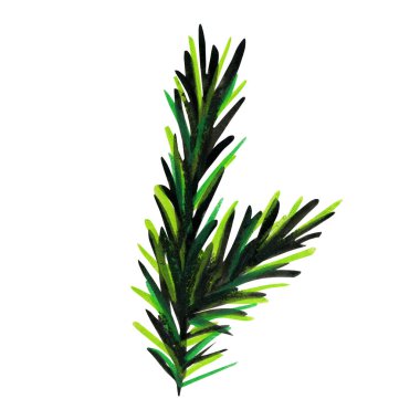 Çam veya ladin kabarık yeşil dalı.