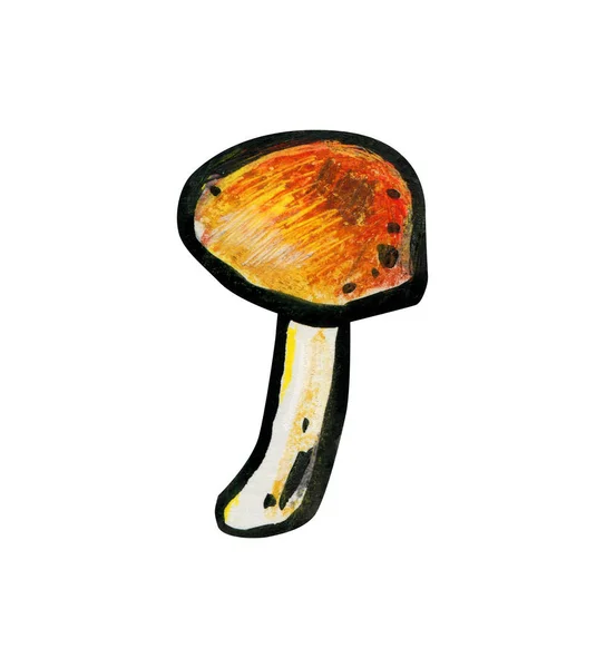 One mushroom close up. Autumn concept. — Stock Photo, Image