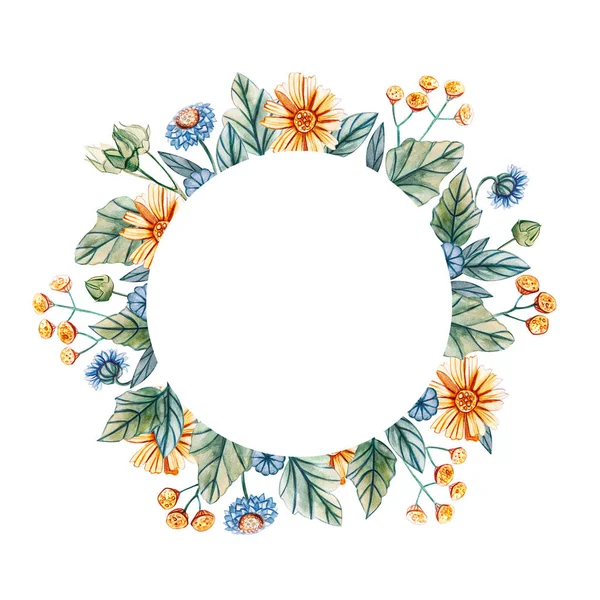 Floral round frame of watercolor wildflowers. — Stock Photo, Image