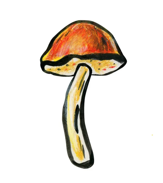 Satu jamur tutup. Konsep musim gugur . — Stok Foto