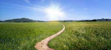 toprak yol yol panorama geniş iz güneş yaz sallanan