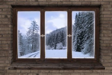 pencere eski ahşap çerçeve lahanası kış Noel
